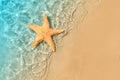 Starfish on the summer beach in sea water.