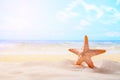 Starfish on summer sunny beach at ocean background. Travel, vac Royalty Free Stock Photo