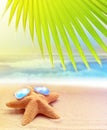 Starfish in sunglasses on the sandy beach and palm leaf Royalty Free Stock Photo