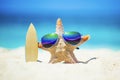 Starfish surfer on beach Royalty Free Stock Photo