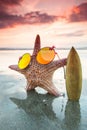 Starfish surfer on beach Royalty Free Stock Photo