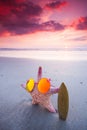 Starfish surfer on the beach Royalty Free Stock Photo