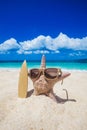 Starfish surfer on beach Royalty Free Stock Photo