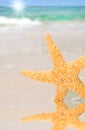 Starfish by Tidepool on Beach Royalty Free Stock Photo