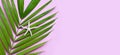 Starfish on tropical palm leaves on pink background. Enjoy summer holiday Royalty Free Stock Photo