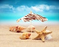 Starfish under umbrella on the summer beach. Royalty Free Stock Photo