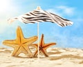 Starfish under umbrella on the summer beach. Royalty Free Stock Photo