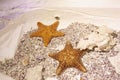 Starfish under water with sand Royalty Free Stock Photo