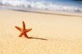 Starfish in vacations Royalty Free Stock Photo