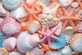 Starfish and various seashells macro background. Sshells have different shapes, colors and textures, creating stunning Royalty Free Stock Photo