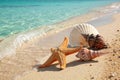Seashells and starfish on a sandy beach , A starfish and various seashells rest on a pristine sandy beach Royalty Free Stock Photo