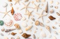 Starfish of various types and a large assortment of shells are randomly laid out on a light background