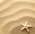 Starfish On Wavy Sand Background
