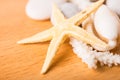 Starfish, white coral, shell Royalty Free Stock Photo