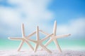 Starfish on white ocean beach