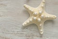 Starfish. White starfish on white shabby chic background.Summer nautical decor.Background in a marine style