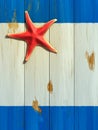 Starfish on wood board