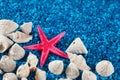 Starfishe and seashells on blue sand Royalty Free Stock Photo