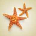Starfishes on a beige background, with a retro effect