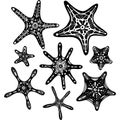 Starfishes hand drawn set, Sea stars collection