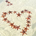 Starfishes on the Phu quoc island with heart shape , beautiful red starfish in crystal clear sea Royalty Free Stock Photo