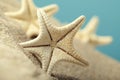 Starfishes in sand beach