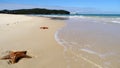 Starfishes on the sand Royalty Free Stock Photo