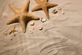 Starfishes and seashells on beach sand, top view Royalty Free Stock Photo