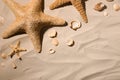 Starfishes and seashells on beach sand, top view Royalty Free Stock Photo