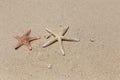 Starfishs on sandy beach Royalty Free Stock Photo