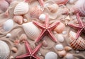 a sandy beach with shells and starfish on it Royalty Free Stock Photo