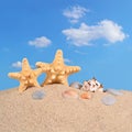 Starfishs and seashells on a beach sand