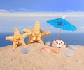 Starfishs and seashells close-up in a beach sand