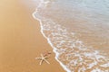 Starfishs on tropical beach Royalty Free Stock Photo