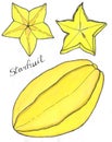 Starfruit or carambola. Hand-drawn whole fruit and