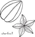 Starfruit coloring page. Graphic vector black and white art for