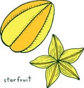 Starfruit coloring page. Graphic vector colorful doodle art for