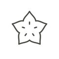 Starfruit icon vector. Outline tropical fruit, line carambola symbol.