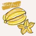 Starfruit line art and color hand-drawn vector illustration. Rough crayon strokes doodle in an expressive loose coloring book