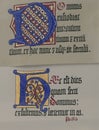 Medieval illuminated manuscript calligraphy in Stari Grad Royalty Free Stock Photo