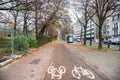 Staright tree lined bicycle path running along a street Royalty Free Stock Photo