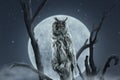 Staring long eared owl sitting on branch in front of full moon