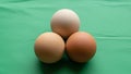 A stark contrast to the earthy tones of the eggs emphasizing Royalty Free Stock Photo