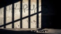 Shadows of Confinement: Prison Bars and Handcuffs Royalty Free Stock Photo