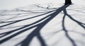 Dramatic long shadow of a bare tree branches cast across a vast expanse of white snow Royalty Free Stock Photo
