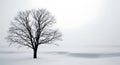 Bare tree silhouette against a bright white winter sky and snow covered ground image Royalty Free Stock Photo