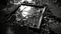 Broken glass on a black background. Black and white photo. Royalty Free Stock Photo