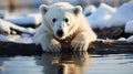 A stark visual representation of global warming and climate change, a polar bear stranded on a melting ice floe. Generative ai Royalty Free Stock Photo