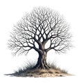 Stark Winter Tree with Bare Branches and Sparse Grass Royalty Free Stock Photo