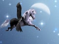 Starlight Pegasus Royalty Free Stock Photo